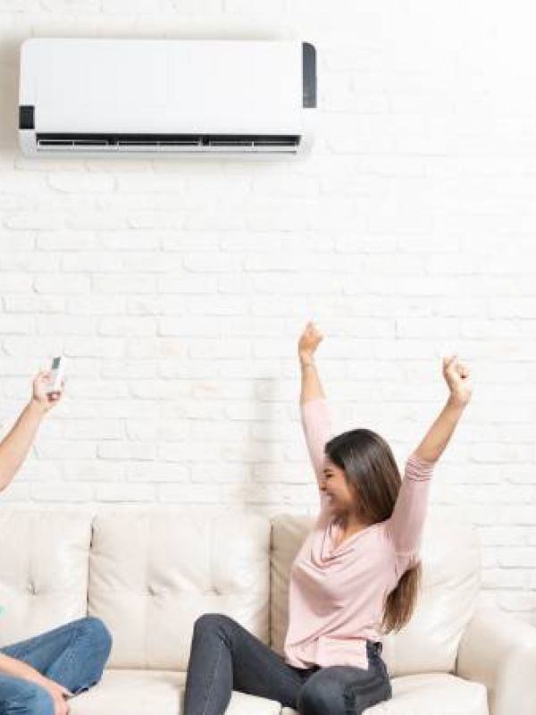 Pros and Cons of a Ductless Mini Split