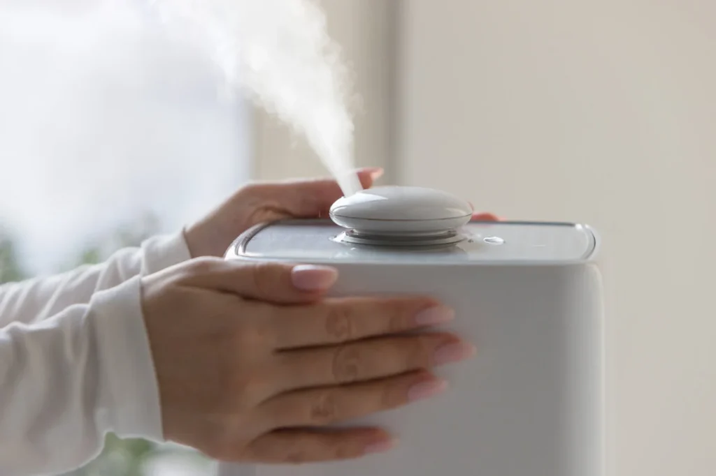 Does Your Home Need a Humidifier? Signs to Watch For