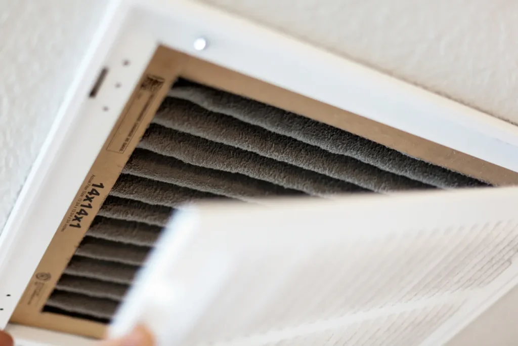 How Air Cleaners Reduce Asthma and Allergy Symptoms